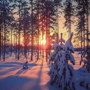 校草公交车被多人伦㢨
